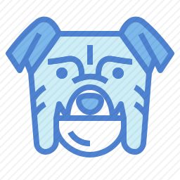 斗牛犬