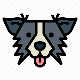 <em>边境</em><em>牧羊犬</em>