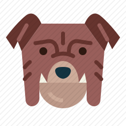 斗牛犬