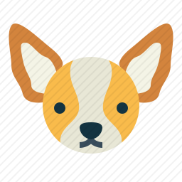 奇瓦瓦犬