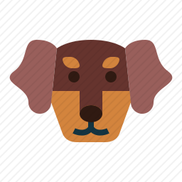 腊肠犬
