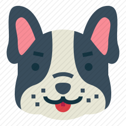 法国斗牛犬