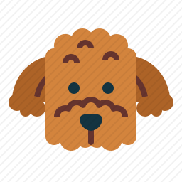 贵宾犬