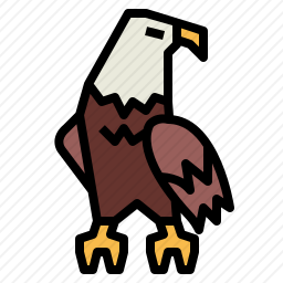 <em>鹰</em>