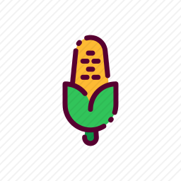 <em>玉米</em>