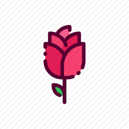 <em>玫瑰</em>