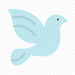 鸽子
