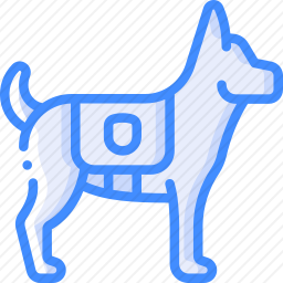 狗