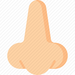鼻子