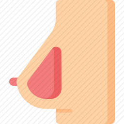 乳房