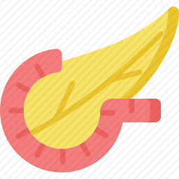 胰腺