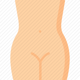 阴道