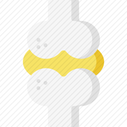 共同