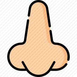 鼻子