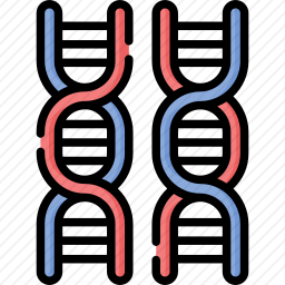 DNA
