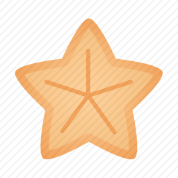 海星
