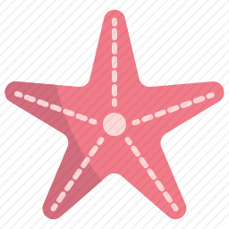 海星