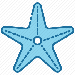 海星