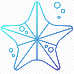 海星