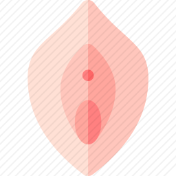 <em>阴道</em>