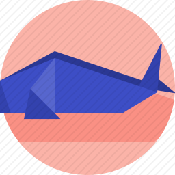 <em>鲸鱼</em>