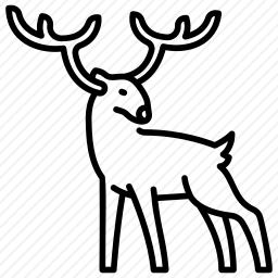 <em>鹿</em>