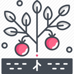 植物