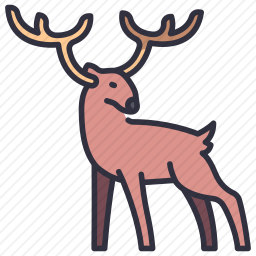 <em>鹿</em>