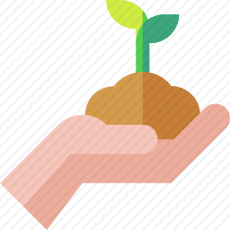 植物