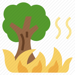 野火