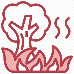 野火