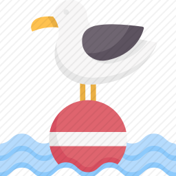 海鸥