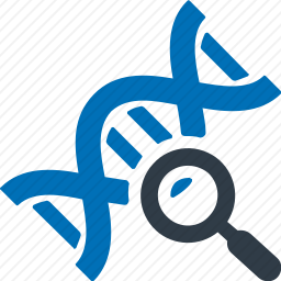 <em>科学</em>