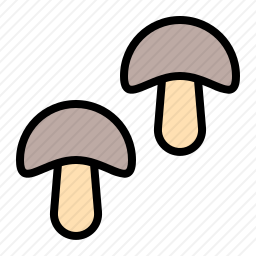 蘑菇