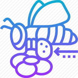 <em>蜜蜂</em>