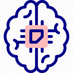 脑