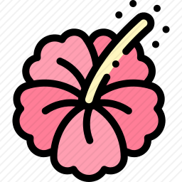 木槿