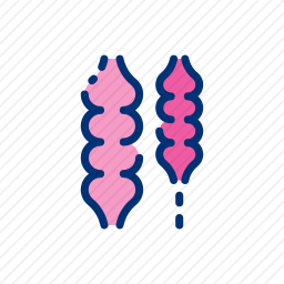 黎加