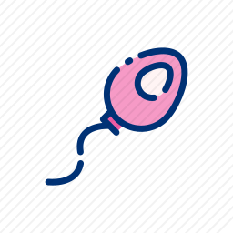 <em>精子</em>