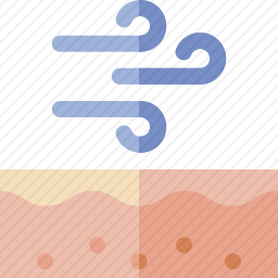 风