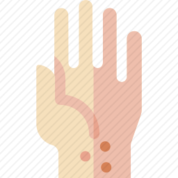 <em>皮肤</em>