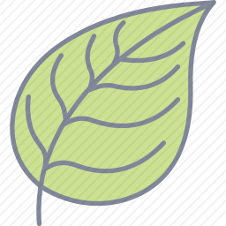 <em>叶子</em>