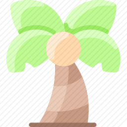 手掌