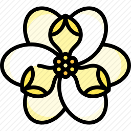 <em>玉兰</em>