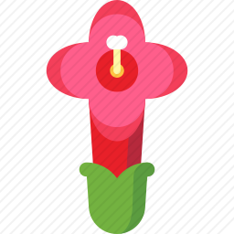 <em>口红</em>