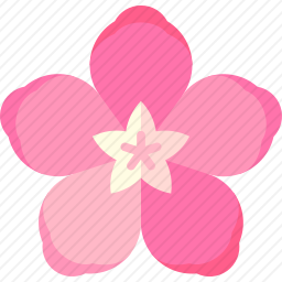 夹竹桃