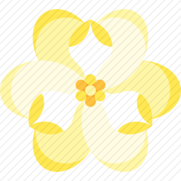 <em>玉兰</em>