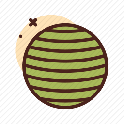 <em>健身球</em>