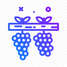 <em>葡萄</em>