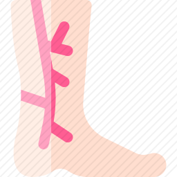 血管